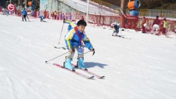 专业提质 全民同乐｜贵州冰雪运动发展迈上新台阶