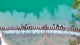 一路繁花向春山｜写在第二十届贵州旅发大会开幕之际