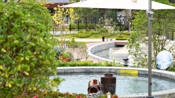 诱人场景多点开花！贵州冬日消费热气腾腾