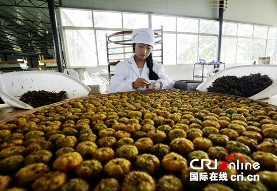 贵州盘州：以茶为媒绘就乡村振兴新画卷_fororder_图片2