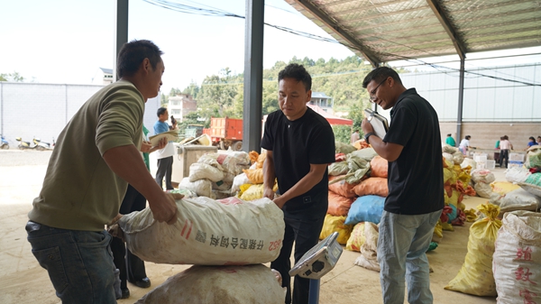 贵州镇远县羊场镇：新生产线“唤醒”深山宝藏 “链”就天麻产业新高地_fororder_DSC09892.JPG