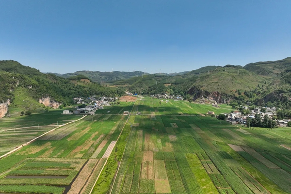 贵州威宁：以产业之优汇聚高质量发展之势_fororder_640 (1)
