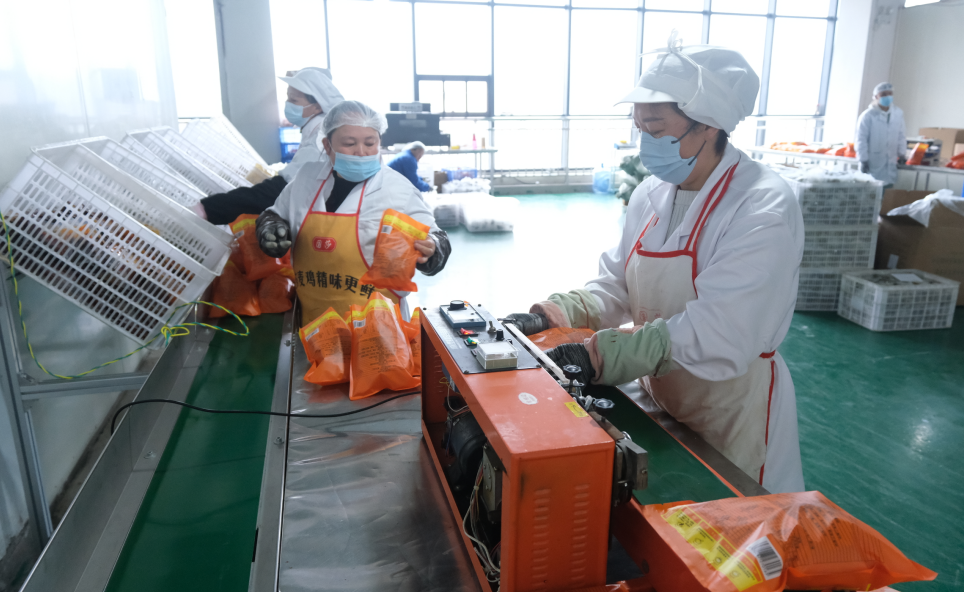 贵州省政协委员杨涎：让贵州味道走进千家万户