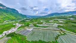 六盘水市水城区：创新探索，凉都猕猴桃有了新身份