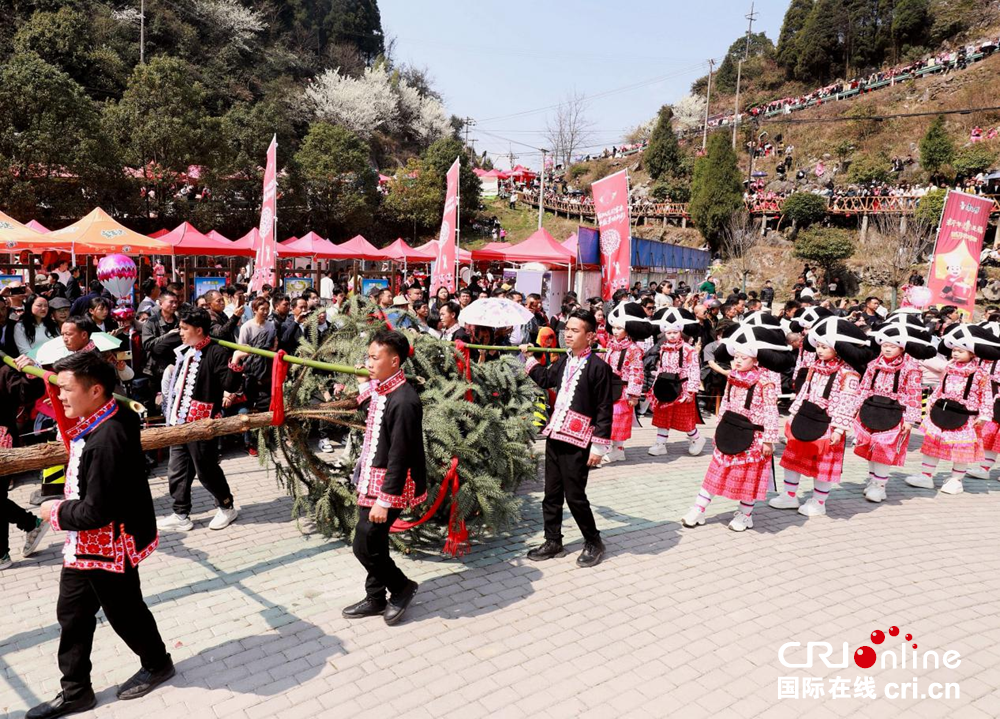 六盘水市六枝特区梭戛乡举行苗族“跳花节”活动_fororder_图片3