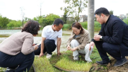 贵州清镇：育秧忙 稳粮仓