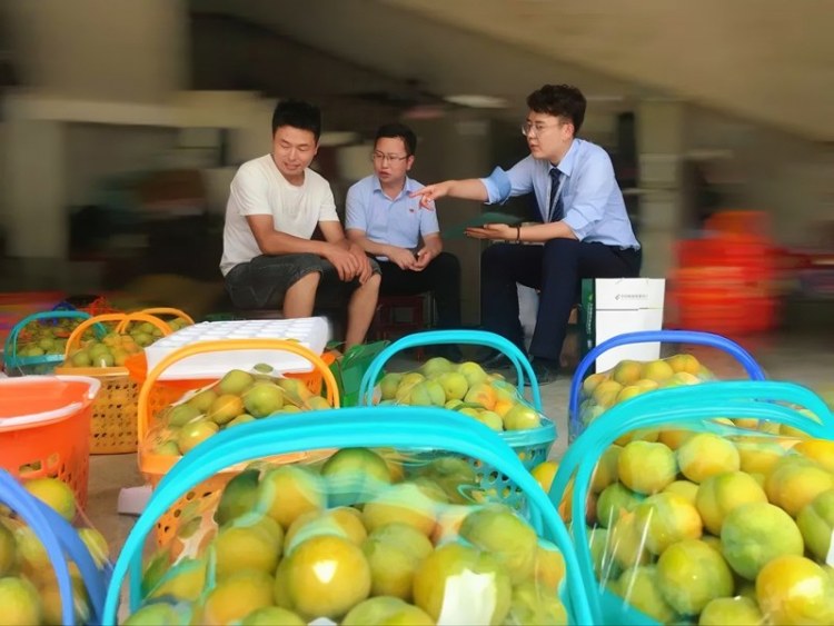 金融活水润泽“绿宝石” 邮储银行安顺市分行精准滴灌蜂糖李产业_fororder_11