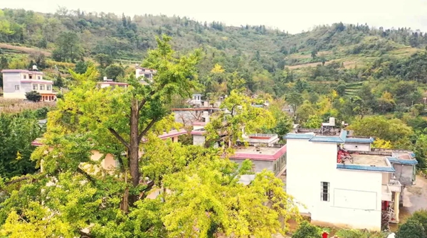 贵州盘州市东冲村以&ldquo;党建引领 精细治理&rdquo;破题乡村振兴_fororder_2