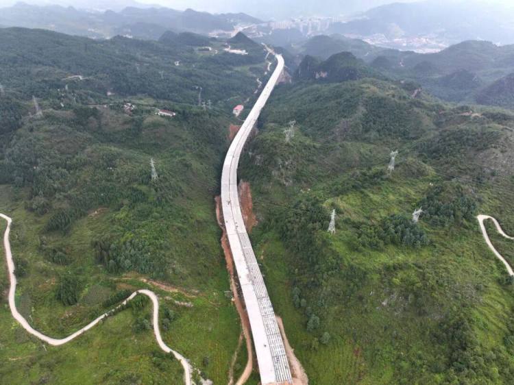 来自安盘高速建设工地的报道丨巨龙穿越“花木树”