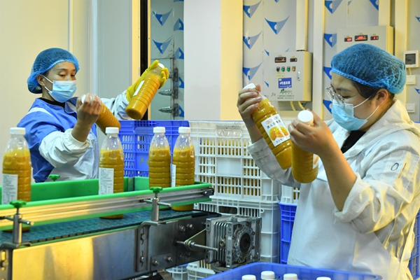 贵州罗甸：企业复工复产忙 全力冲刺首季“开门红”_fororder_贵州产地农业科技有限公司员工进行产品贴标作业