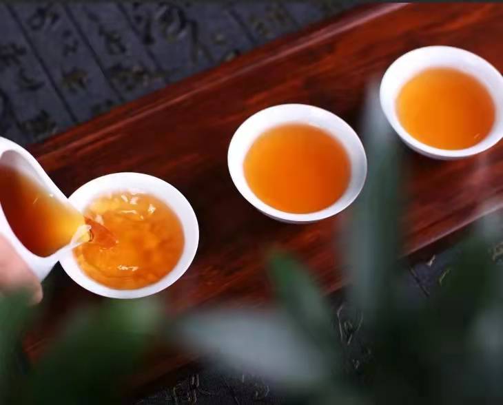 一片绿叶的“四个春天”
