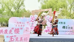 花绽京华 茶韵流芳，贵州在京奏响文化“三重奏”