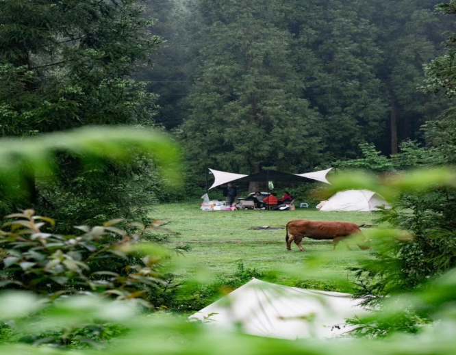 现在出发！避暑就来贵阳：【一村一景】靛山村（下）：森林美食、文化韵律、探险乐园