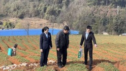 从田间到仓库 贵州邮储银行助力金融“跑”在农时前头