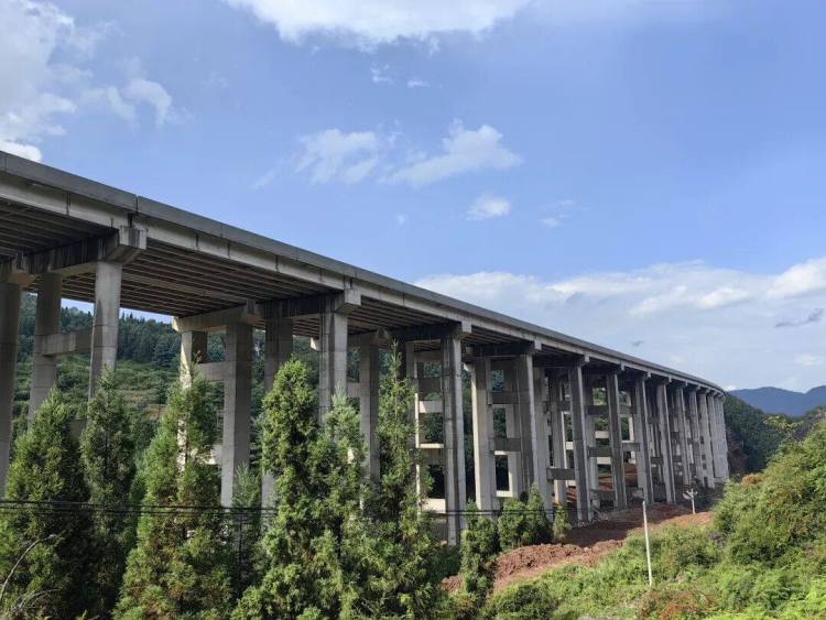 来自安盘高速建设工地的报道丨巨龙穿越“花木树”