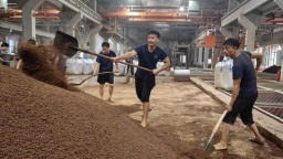 贵州仁怀：“绿智融合”助推新型工业化