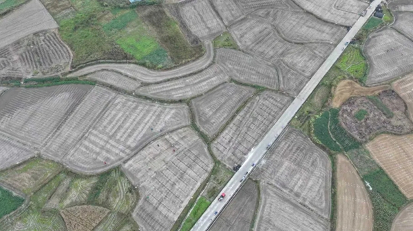 贵州天柱：4000余亩羊肚菌种植全面启动 绘就乡村振兴新图景_fororder_1