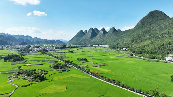 守好“两条底线” 拓宽“两山”转化路｜“转”出美丽贵州新风采