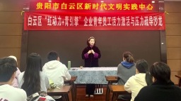 贵阳市白云区开展“红动力+青引擎”企业青年员工活力激活与压力疏导沙龙