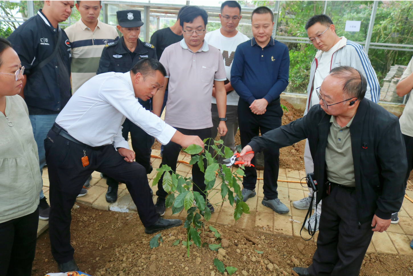 贵阳种下2025年贵州省第一棵咖啡树 弥补咖啡产业种植端空白