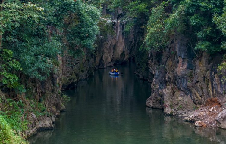 相约康养水城！第七部《康养蓝皮书》在水城区发布