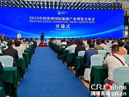 赋能“富矿精开” 助力高质量发展 2025贵州能博会开幕_fororder_微信图片_20250519143838