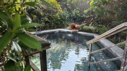 乌当：一池温暖润人心 碧泉氤氲引客至