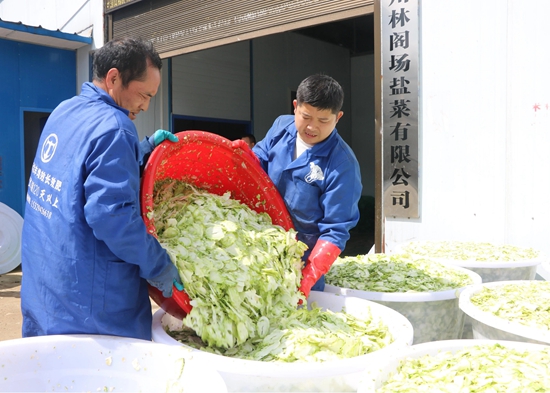 贵州仁怀：舌尖乡愁变身乡村振兴“金钥匙”_fororder_微信图片_20250611165614