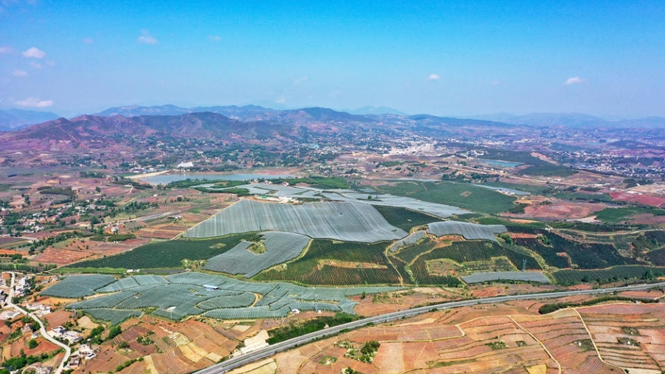 贵州威宁自治县：农业产业编织“夏日田园画”_fororder_威宁产投生态果业有限责任公司的苹果基地（迤那镇海升苹果基地）（无人机照片  岳刚   摄） (1)