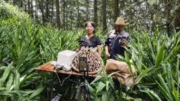 贵州六枝：电商赋能黔货出山 致富大道越走越宽