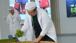 黎平选手闪耀黔东南手工制茶大赛 斩获佳绩展风采