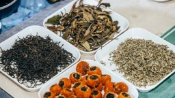 贵州省茶协组织38家茶企亮相第十三届西部茶博会