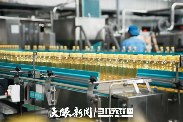 从“单一产品”到“多元矩阵”｜贵州刺梨产业链条延伸