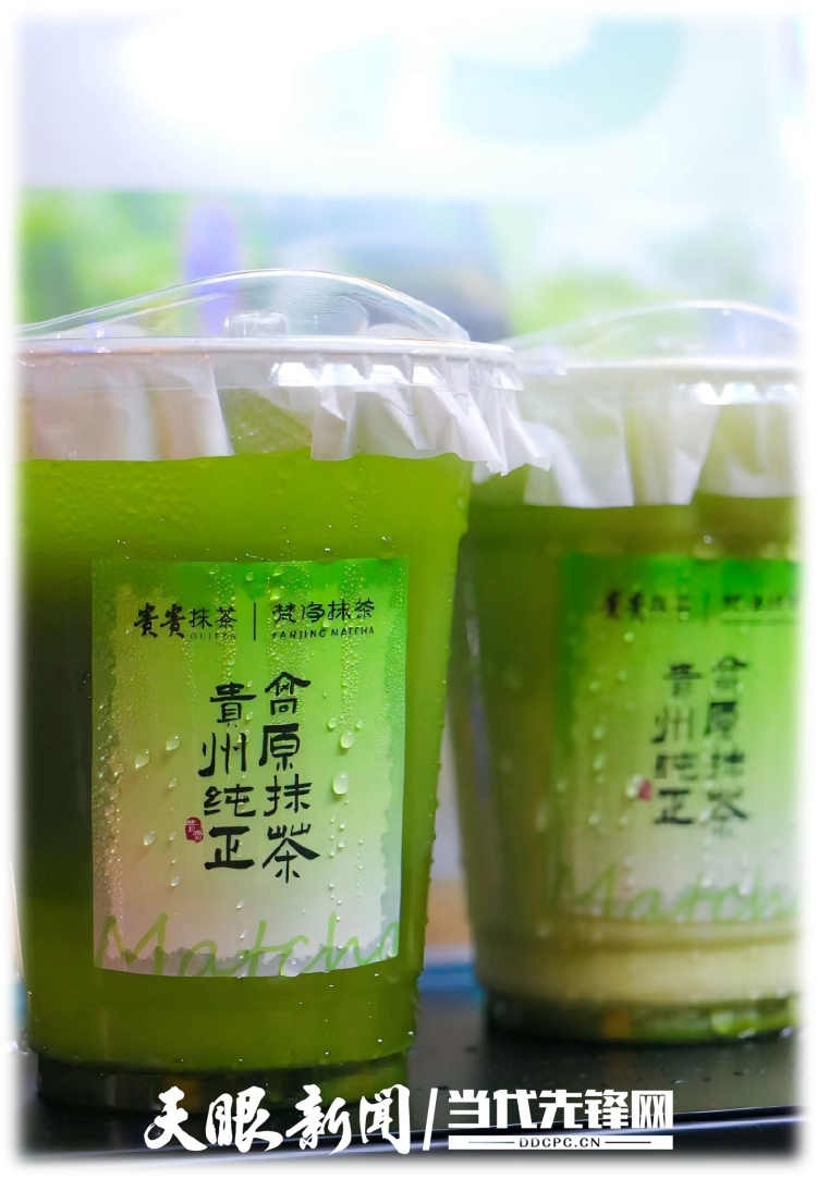 贵茶集团抹茶全国产销量第一
