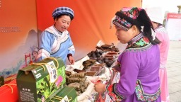 2025年全国“村歌”贵州·黔南（罗甸）黔桂两省区民间山歌邀请赛暨罗甸首届村交会落幕