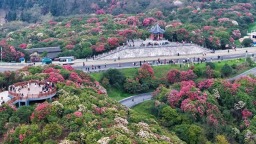 增值税发票数据显示：春假清明“双期叠加” 贵州春日消费市场“热力四射”