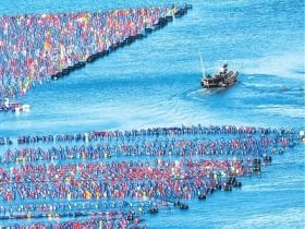 四部门发文推动海洋经济高质量发展——就业创业 别错过这片蓝海