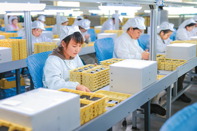 《2024年度中国营商环境研究报告》发布