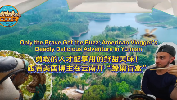【“中国游记”第二季⑨】勇敢的人才配享用的鲜甜美味！跟着美国博主在云南开“蜂巢盲盒”_fororder_蜜蜂