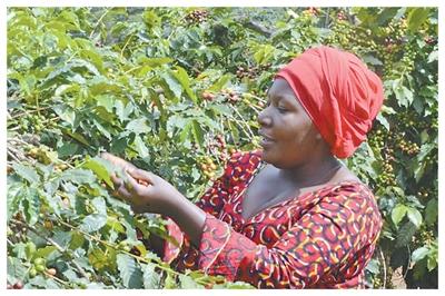 “广阔的中国市场是我们的新机遇”（零关税·促共赢）