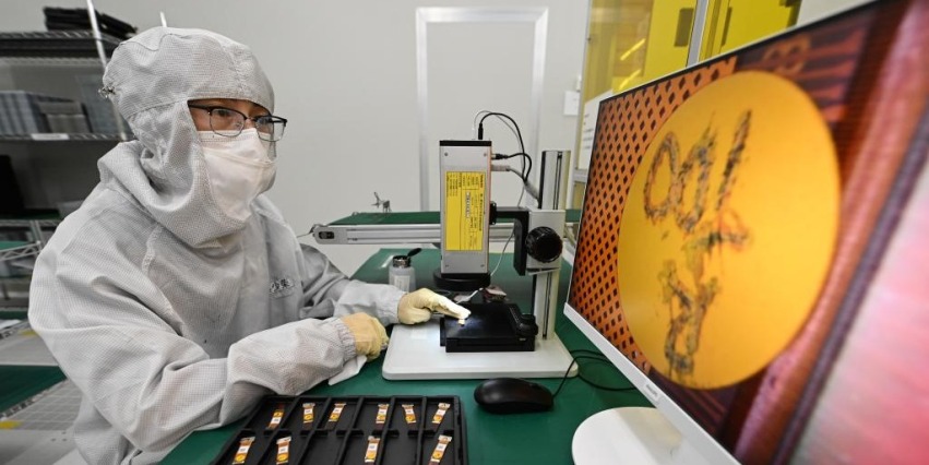 “小体量”大能量！专精特新“小巨人”研发平均投入超3000万元