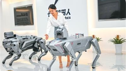 这6大未来产业，加快跑进现实（这些新提法，写入“十五五”规划建议④）