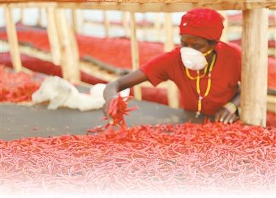 “广阔的中国市场是我们的新机遇”（零关税·促共赢）