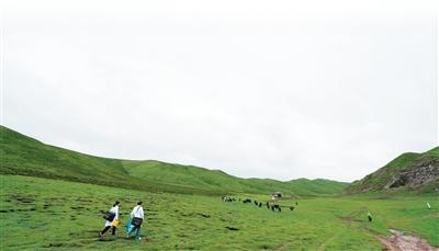 加速构建AI全链条防治包虫病体系（退病录）