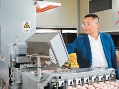 龚光辉：这个海归“慧”养鸡