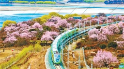 这些工程，“美得像AI”（这不是AI，这是实景·交通篇）