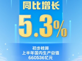 上半年国内生产总值660536亿元 同比增长5.3%