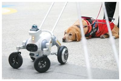 智能导盲犬亮相深圳