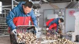 中国经济起步有力（锐财经）