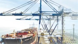 零关税 让更多非洲产品丰富中国市场